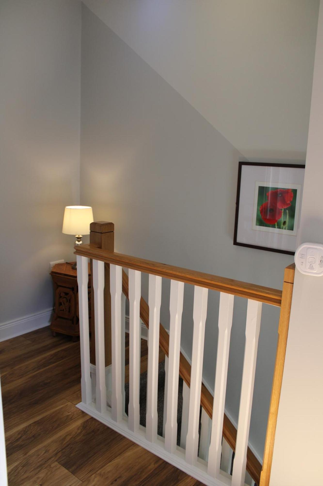 Cosy Holidayhomes Kerry Kenmare Ngoại thất bức ảnh